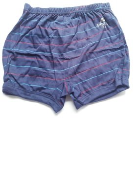 Mithila Cotton Briefs For Boys